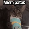 Gatitos pa tu Wsp😼🫰🏻 17