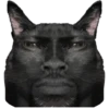 Spicy Meme Pack 1 27