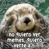 Persy no quiero Ver memes, quiero Verte a tí
