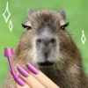Capibara Random 🍉 30