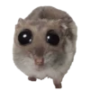 Spicy Meme Pack 1 28