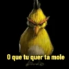 Memes Angry birds 16