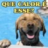 AI QUE CALOR!!!🔥🥵 15