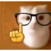 Ortaya Karışık Shitpost 29