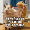 tu Yo ya te Puse en mi carrito. vas a ser mío Persy
