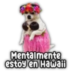 Persy Mentalmente estoy en Hawaii