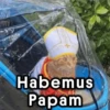 Papa León XIV ⛪Habemus Papam 19