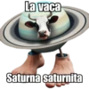 🗣️ TikTok Brainrot 💀 24