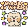 Gatito 😽 Cariñoso 24