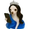 Princesa Chihuahua 👑💙 5