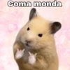 FRASES HAMSTER 🐹🥰 6