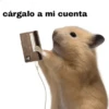 FRASES HAMSTER 🐹🥰 7