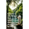Frases lindas 5