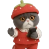 Gato fresita 🐈‍⬛🍓 7