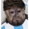 🐒⌛Various Monkey's⌛🐒 5