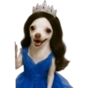 Princesa Chihuahua 👑💙 8