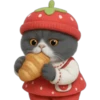 Gato fresita 🐈‍⬛🍓 8