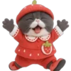 Gato fresita 🐈‍⬛🍓 9