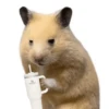 FRASES HAMSTER 🐹🥰 10