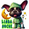 Buenas noches 1 cachorros🇲🇽 5