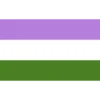 bandeiras lgbtqiapn+ 5