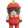 Gato fresita 🐈‍⬛🍓 10