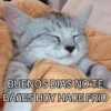 Congelado Memes Frío ❄️ 5