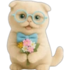 Gatito con lentes 😺👓 5