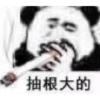Chinese Panda 6