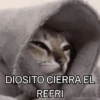 Congelado Memes Frío ❄️ 6