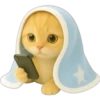 Gatito con mantita 😻🩵 6