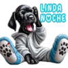 Buenas noches 1 cachorros🇲🇽 6