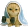 Gatito con mantita 😻🩵 7