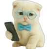 Gatito con lentes 😺👓 7