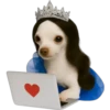 Princesa Chihuahua 👑💙 10