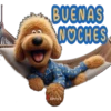 Buenas noches 2 cachorros🇲🇽 7