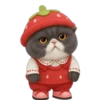 Gato fresita 🐈‍⬛🍓 11