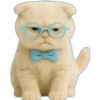 Gatito con lentes 😺👓 8