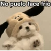 Frío ✨🥶MEMES 2 5