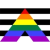 bandeiras lgbtqiapn+ 7