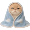 Gatito con mantita 😻🩵 9