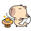 Pipi Capybara 4 5