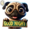 Buenas noches 1 cachorros🇲🇽 8