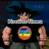 ZRD Discordo fêmea