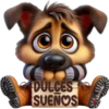 Buenas noches 2 cachorros🇲🇽 9