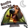 Buenas noches 1 cachorros🇲🇽 9