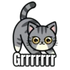 My cat memes 😂🐈 5