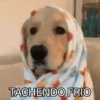 Congelado Memes Frío ❄️ 9
