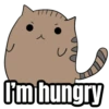 My cat memes 😂🐈 6