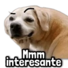 🐾 Perritos y Reacciones! 🔝 6